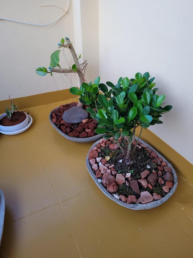Sandy Beach Hotel Thiruvananthapuram Bagian luar foto